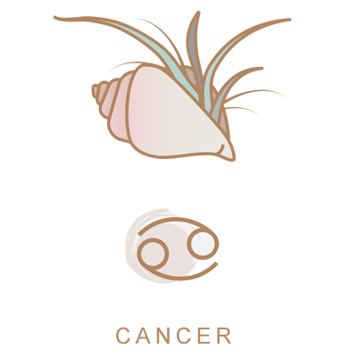 Cancer Sun Sign